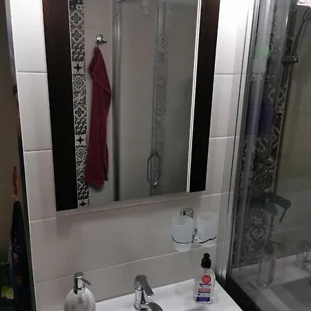 Apartament Sub Cetate Apartment Sighisoara